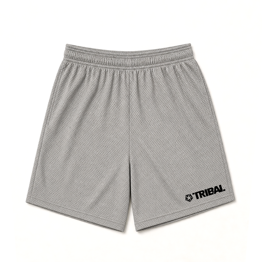 Grey Mesh Shorts